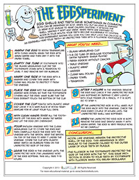 Eggsperiment Activity Sheet for Pediatric Dentists